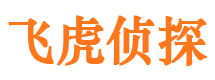 西峡调查公司